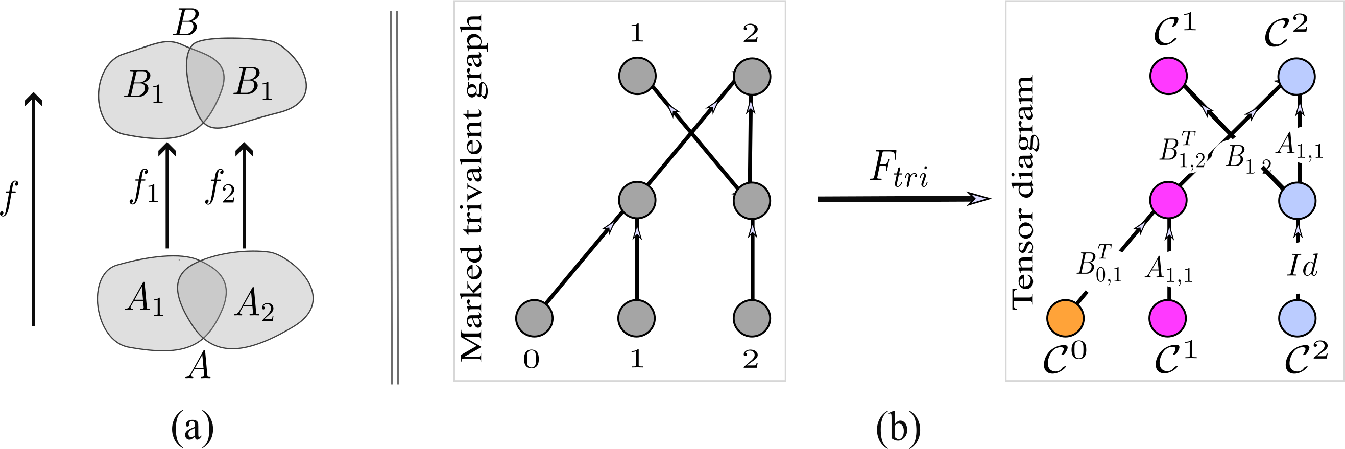 A sketch of the main idea of a TQFT construction in (a) and a functor $F_{tri}$ for constructing tensor diagrams in (b). (a): In the depicted example, the goal is to construct a map $f\colon A\to B$ between two topological spaces $A$ and $B$. We first decompose $A$ and $B$ into simpler sub-spaces, say $A = A_1 \cup A_2$ and $B = B_1 \cup B_2$, so that ${A_1,A_2}$ and ${B_1,B_2}$ are `more elementary spaces' than $A$ and $B$, respectively. We then construct two maps $f_1 \colon A_1 \to B_1$ and $f_2 \colon A_2 \to B_2$, and use them to construct $f$. (b): A visual example of a functor $F_{tri}$ that pairs each marked trivalent graph with a corresponding tensor diagram. This example sends a marked trivalent graph with marked points $\{0,1,2\}$ at the bottom and marked points $\{1,2\}$ at the top to a tensor diagram with domain $\mathcal{C}^{0} \times \mathcal{C}^{1}\times \mathcal{C}^{2}$ and codomain $\mathcal{C}^{1}\times \mathcal{C}^{2}$. Once the push-forward, the merge and the split nodes are defined, the functor $F_{tri}$ attaches a well-defined tensor diagram to each trivalent graph. A CCNN can be then constructed from the tensor diagram.