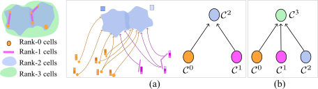 Examples of pooling operations. In this example, a CC of dimension three is displayed. A rank cell of rank $3$ (shown in green) has the highest rank among all cells in the CC. (a): A pooling CCNN of height one pools a cochain vector $(\mathbf{H}_0,\mathbf{H}_1)$ to a 2-cochain $\mathbf{H}_2$. (b): A readout operation can be realized as a pooling CCNN of height one by encapsulating the entire CC by a single (green) cell of rank higher than all other cells in the CC, and by pooling (reading out) all signals of lower-order cells to the encapsulating (green) cell.