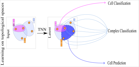 Learning on topological spaces can be broadly classified in three main tasks. (1) *Cell classification*: this task predicts targets for individual cells within a complex. An example of this tasks is mesh segmentation where the topological neural network outputs a segmentation label for every face in the input mesh. (2) *Complex classification*: predicting targets for entire complexes involves reducing topology into a common representation. An example of this task is class prediction for input meshes. (3) *Cell prediction*: forecasting properties of cell-cell interactions, sometimes including predicting cell existence, by leveraging topology of the underlying complex and associated features. An example of this task is predicting linkages in hypergraph hyperedges.